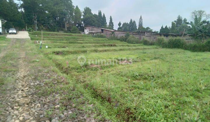 Tabah murah 250 SHM m² megamendung bogor 4