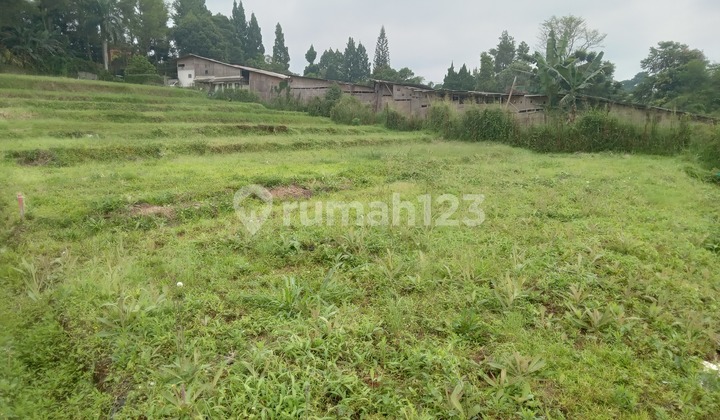 Tabah murah 250 SHM m² megamendung bogor 5