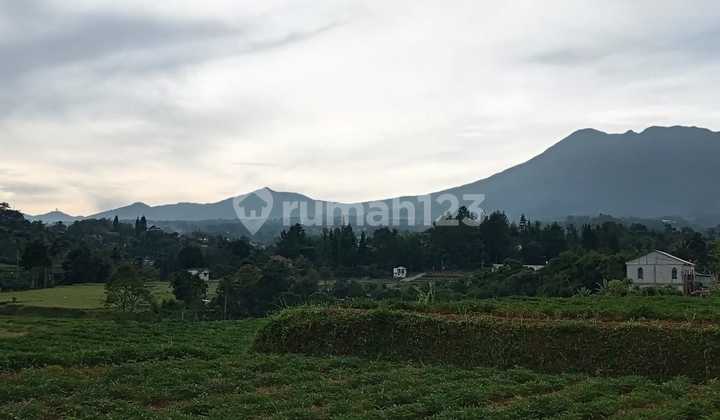 Tabah murah 250 SHM m² megamendung bogor 1