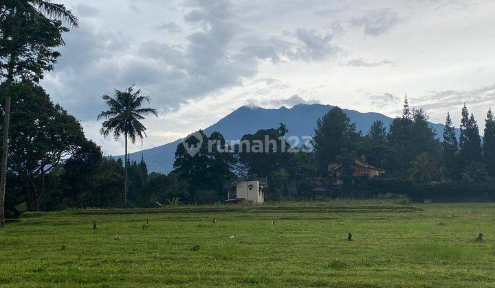 Tabah murah 250 SHM m² megamendung bogor 9