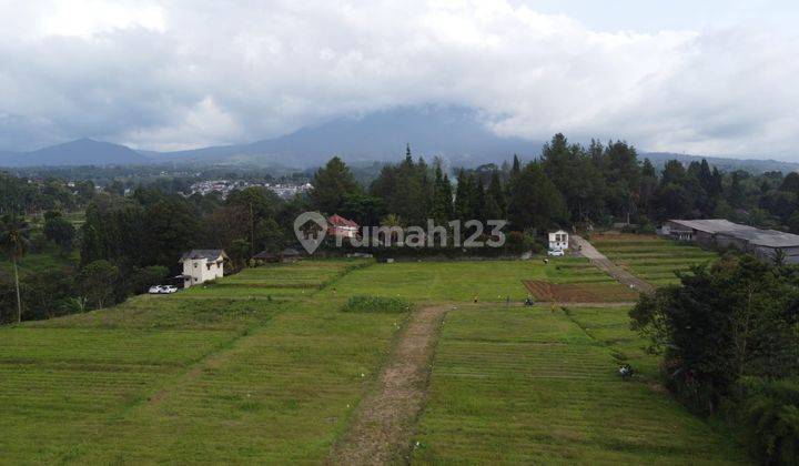 Tabah murah 250 SHM m² megamendung bogor 10