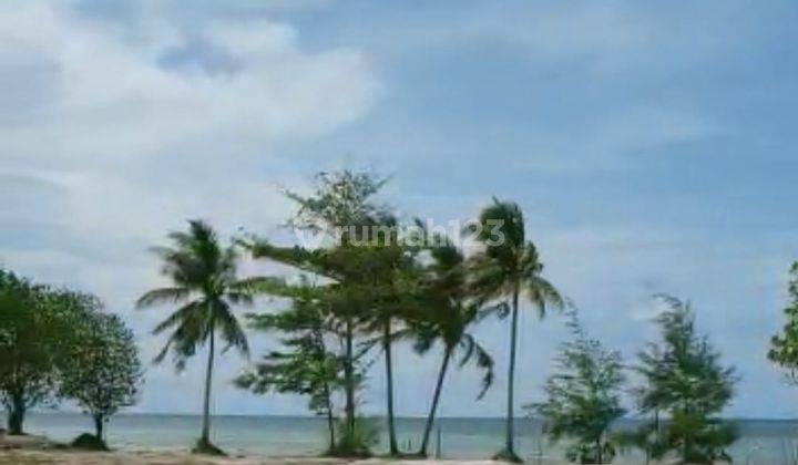 Di jual tanah 5 ha di kawasan Bintan Riau 9