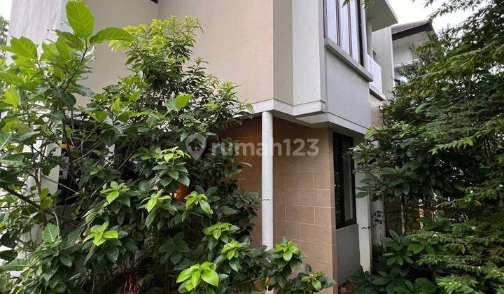 Di sewakan rumah bagus 2 lt di eminent bsd 2