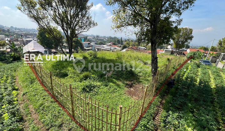 Tanah Strategis Sejuk View Indah di Cigugur Girang Parompong Tanah Strategis Sejuk View Indah di Cigugur Girang Parompong