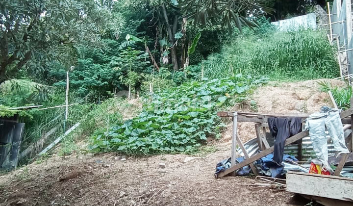 For Sale: Setraduta Exclusive Cluster Land with One Gate System For Sale: Setraduta Exclusive Cluster Land with One Gate System