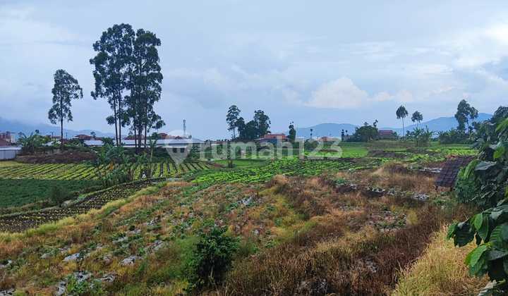 Large Strategic Land Area in Ciwidey, Bandung