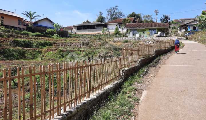 Tanah Luas Asri di Ciwidey Kabupaten Bandung Tanah Luas Asri di Ciwidey Kabupaten Bandung