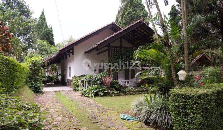 Dijual Villa Grand Trawas The Best Villa In The Area  1