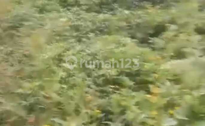 Di jual Tanah Darat Di Leuwi Sadeng-Bogor 1