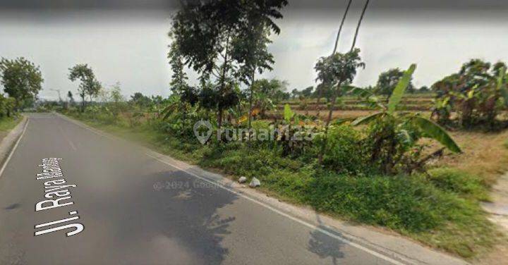 LAHAN LUAS & STRATEGIS 0 Jalan Raya  Raya Mantup Lamongan 550rb / m 1