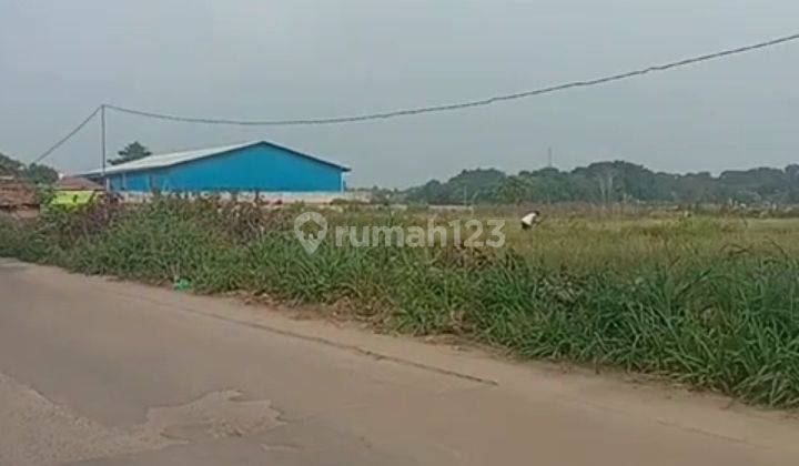 Tanah Murah Siap Bangun di sukamurni cengkudu Balaraja Tangerang , Balaraja SHM - Sertifikat Hak Milik 40000 m² 1