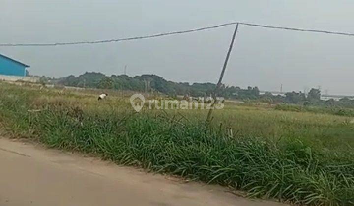 Tanah Murah Siap Bangun di sukamurni cengkudu Balaraja Tangerang , Balaraja SHM - Sertifikat Hak Milik 40000 m² 2