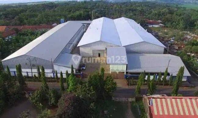 Dijual Gudang Ex Pabrik Furniture Lokasi Bangsri Jepara. 1