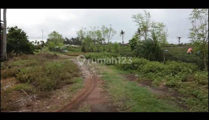Dijual Tanah Zona Merah Lokasi Kulon Progo 1