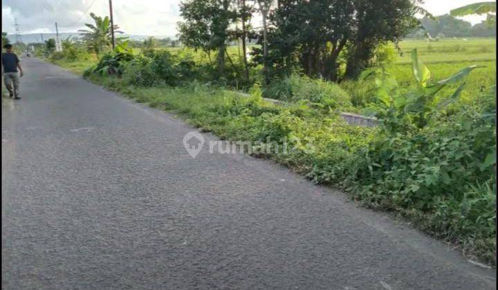 Dijual Tanah Zona Merah Lokasi Kulon Progo 3