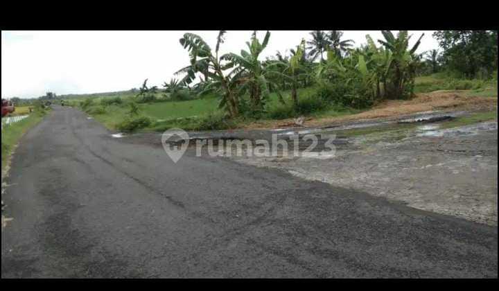 Dijual Tanah Zona Merah Lokasi Kulon Progo 2
