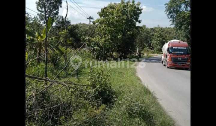 Dijual Tanah Zona Merah Lokasi Sragen  4