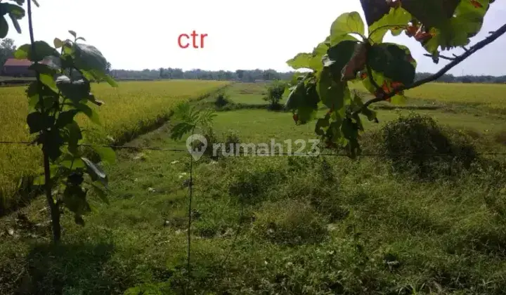 Jual Tanah Lokasi Sragen  1