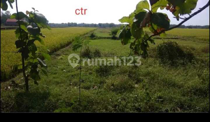 Dijual Tanah Lokasi Sragen Zona Kuning 1