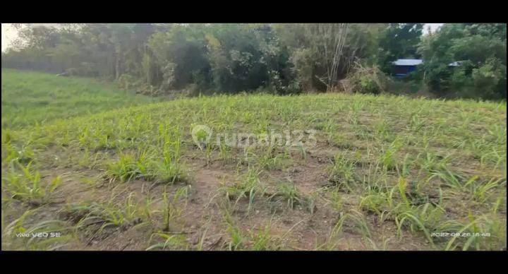 Di Jual Lahan Zona Kuning Lokasi Sragen  3