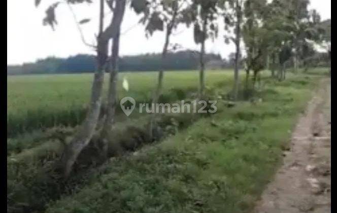 Dijual Tanah Zona Kuning Lokasi Desa Guworejo Sragen 1