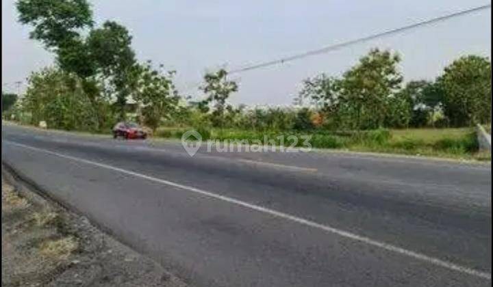 Dijual Tanah Zona Industri Lokasi Sragen 1
