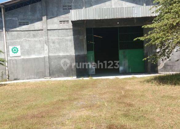 Disewakan Gudang Sonorejo Parangjoro 1.3 Ha 9