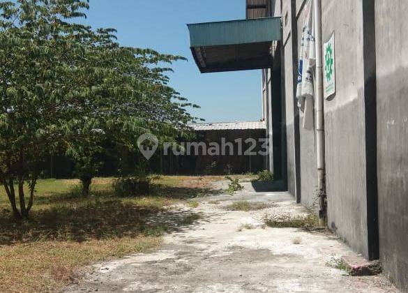 Disewakan Gudang Sonorejo Parangjoro 1.3 Ha 8