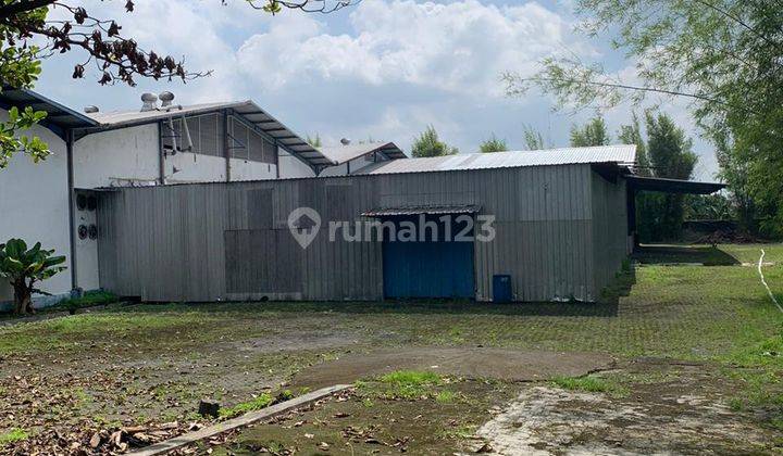 Disewakan Gudang 1.2 Hektare Lokasi Kartasura Dekat Exit Tol Luas Tanah 1,2 Hektar 7