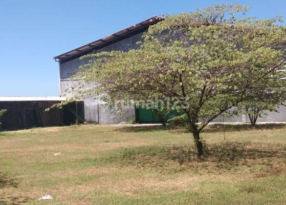 Disewakan Gudang Sonorejo Parangjoro  4