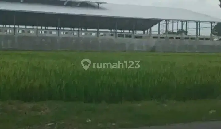 Dijual Gudang Lokasi Karanganyar  1
