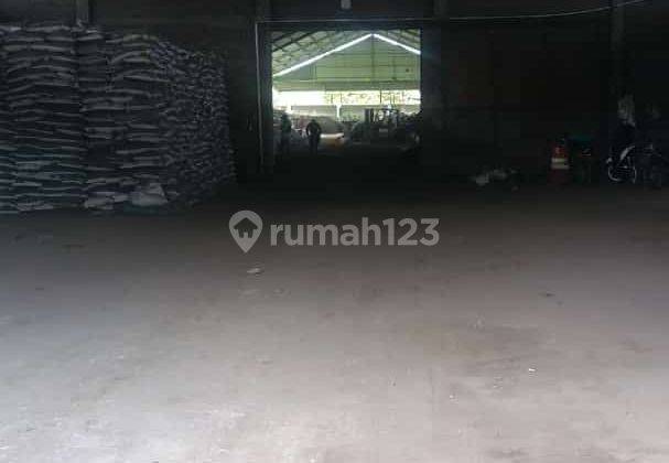  Dijual X Gudang 1,6 Hektar Nangsri Masaran 1