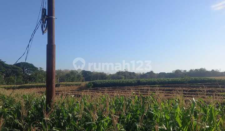 Industrial Zone Land Sumberlawang, Sragen Area 50 Ha Industrial Zone Land Sumberlawang, Sragen Area 50 Ha