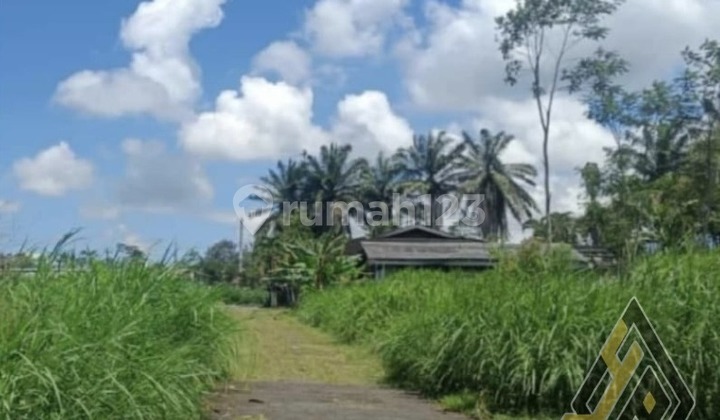 Lahan Zona Industri,Lokasi Tengaran,Semarang,Luas 10 Ha Bu! 2