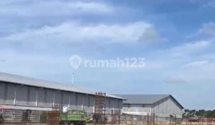 New Warehouse Industrial Area 1.1 Ha Tegal, Central Java New Warehouse Industrial Area 1.1 Ha Tegal, Central Java