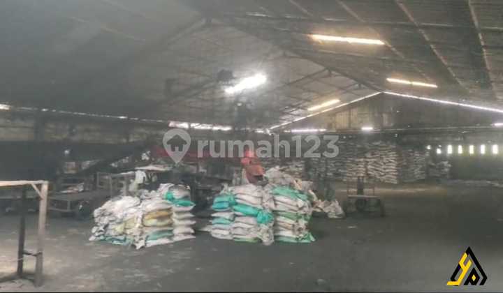 Super Strategic Industrial Coconut Shell Briquette Factory Pati Area 1.5 Ha