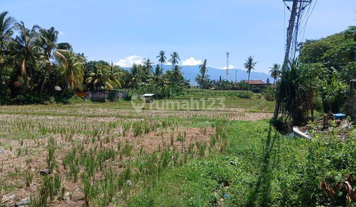 LAND FOR SALE IN SERIRIT - BULELENG 59,8 ARE  2