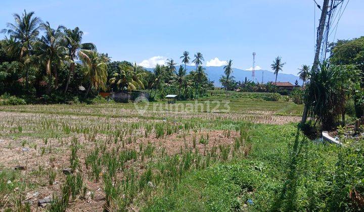 LAND FOR SALE IN SERIRIT - BULELENG 59,8 ARE  1