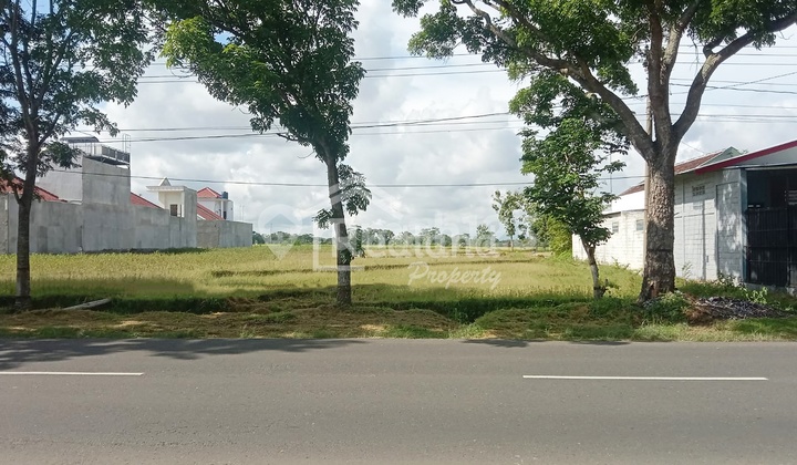 Land in Lawu Popongan, Karanganyar No. 4734