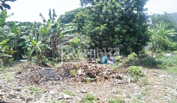 Land in Banyumanik, Semarang Si 5298 1