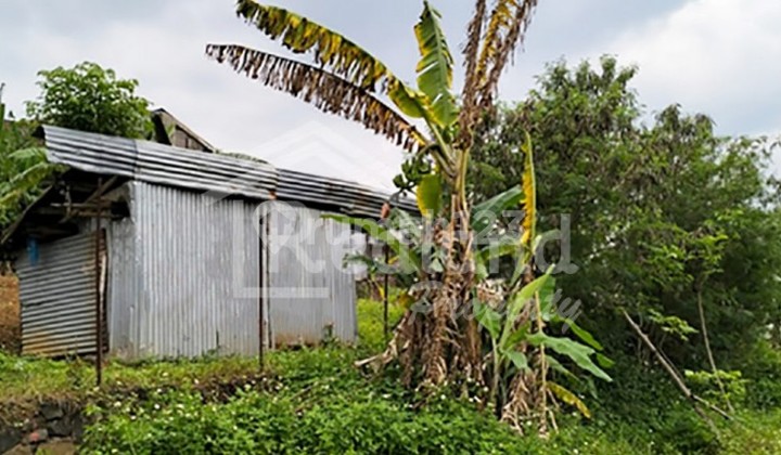 Land in Jangli View Scenery, Semarang Ve 5726 1