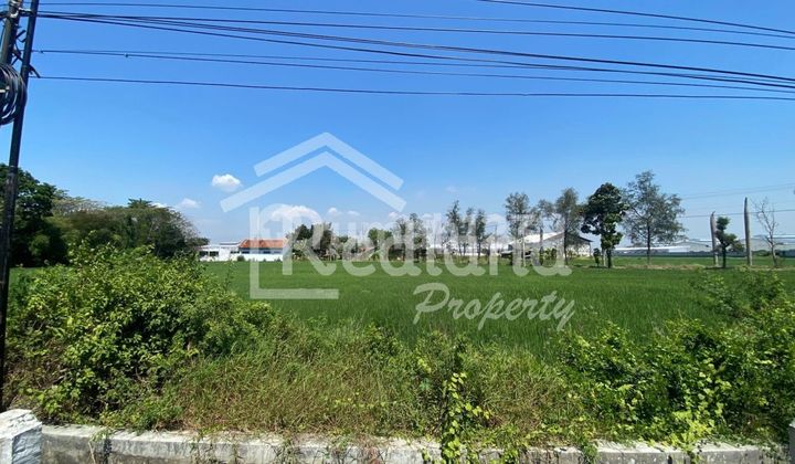 Land in Kedungkelor Village, Warureja, Tegal (Plot Si 8135)