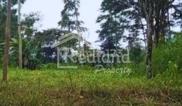 Tanah di Getasan Tanjuk Banaran , Kopeng ( Si 7929 )