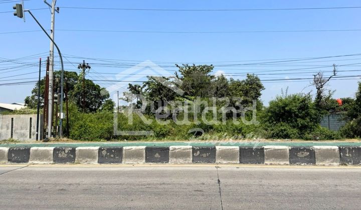 Tanah di Jl Raya Pantura Tegal Pemalang ( Tt Si 8133 )