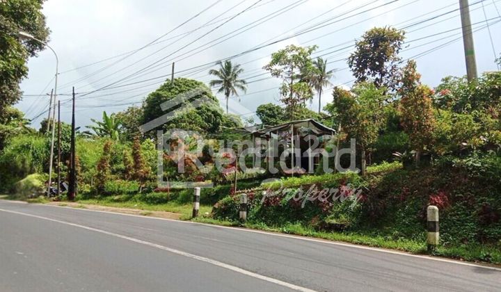 Tanah di Jetis Ds Jambor Bandungan ( Si 3874 ) 1