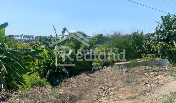 Tanah di Jl Raya Pantura Tegal Pemalang ( Tt Si 8132 )