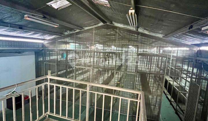 jual gudang bagus di Elang laut luas tanah 9x20