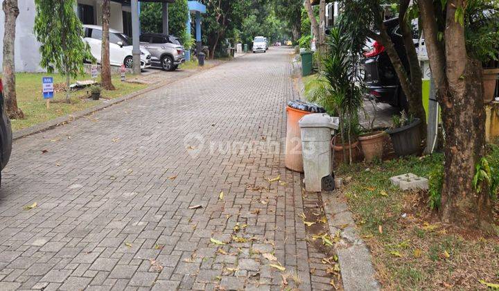 Sewa Rumah 2 Kamar Tidur Albera Foresta Bsd 2