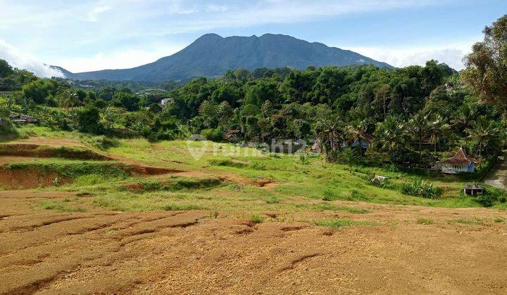 Dijual tanah di daerah jalur alternatif puncak bogor 2