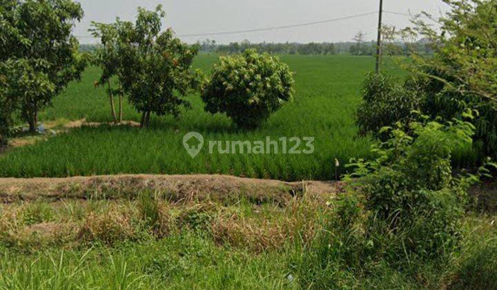 Dijual Cepat Tanah Komersil, Di Majalengka  1